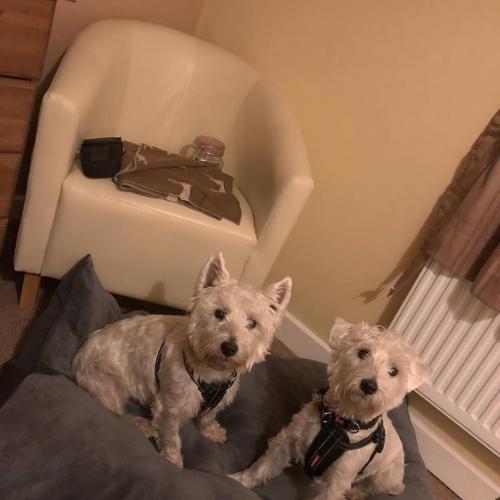 44045148_341530276617570_3211891198100766720_n-1.j